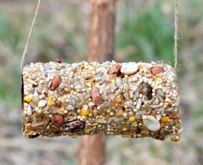 Toilet Paper Roll Bird Feeders