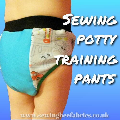 Potty Training Pants