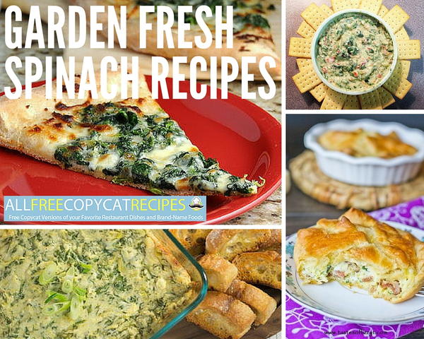 Garden Fresh Spinach Recipes