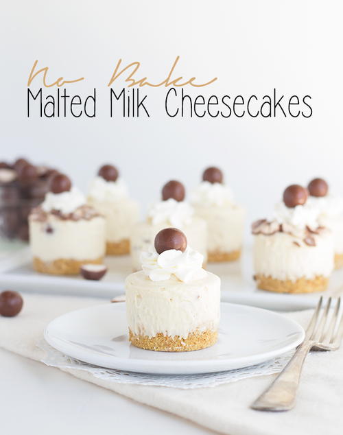 Mini No Bake Malted Milk Cheesecakes