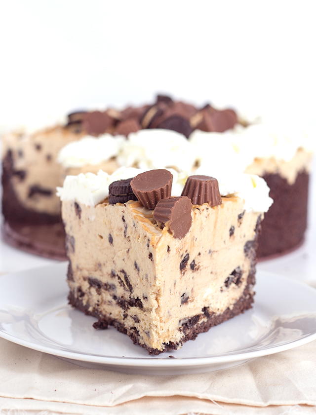 No Bake Reese's Peanut Butter Oreo Cheesecake | TheBestDessertRecipes.com