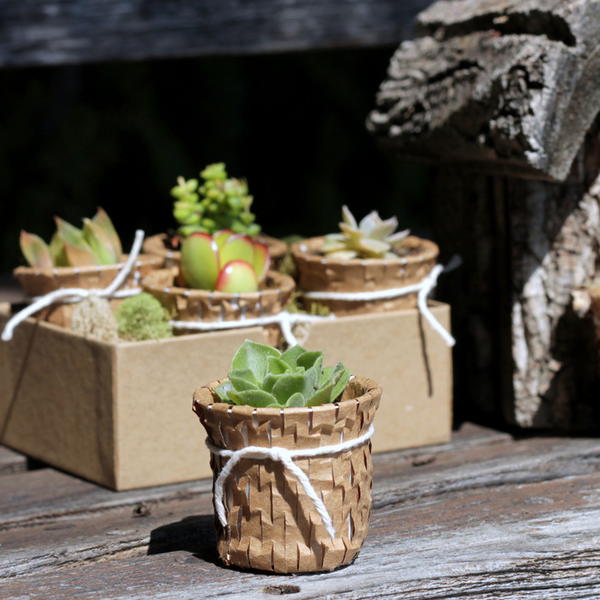 K Cup Succulent Pot