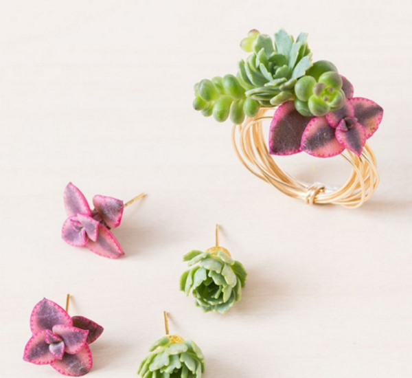 Sensational Succulent Earrings and Wire Wrapped Rings