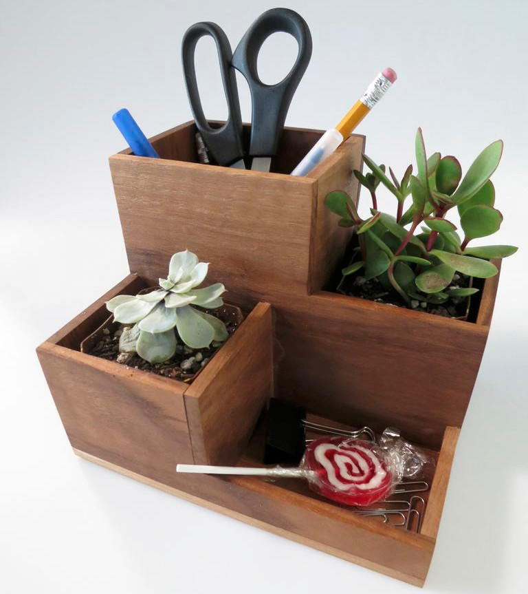 DIY Desk Organizer and Succulent Planter DIYIdeaCenter.com
