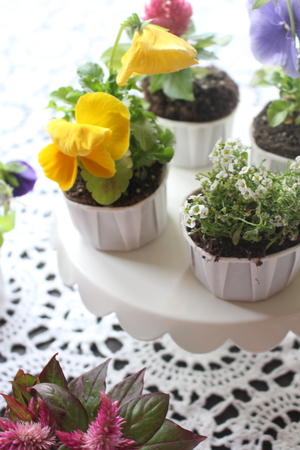 Piece of Cake Flower Cups