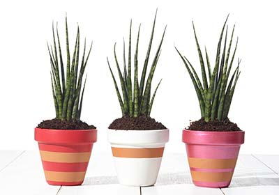 Striped Flower Pot Crafts