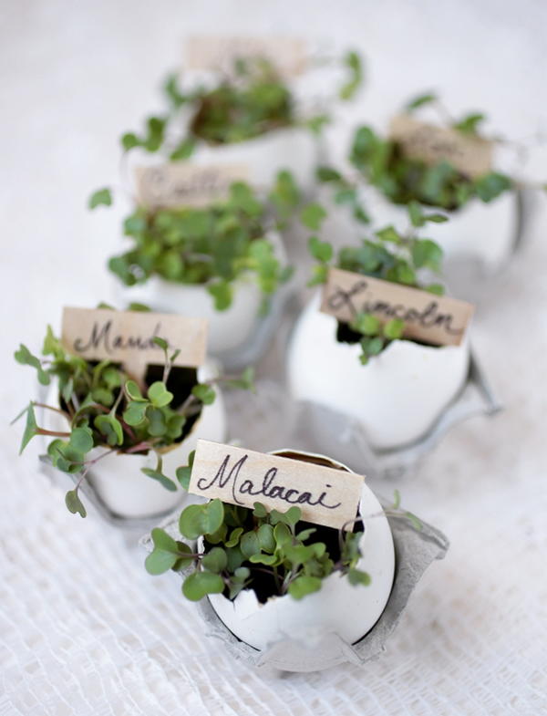 Eggshell Place Card Holders