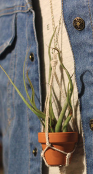 Tiny Air Plant Macrame Necklace