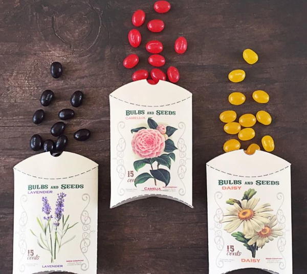 Flower Seed Packet DIY Favor Boxes