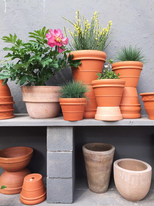 Make a Container Garden