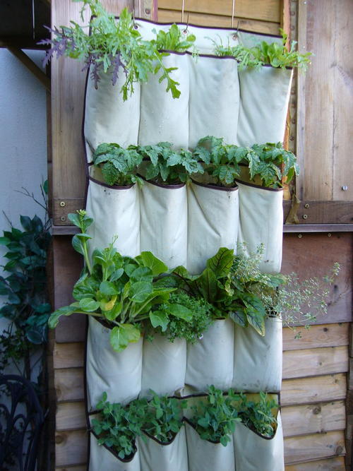 Grow Up Herb Garden