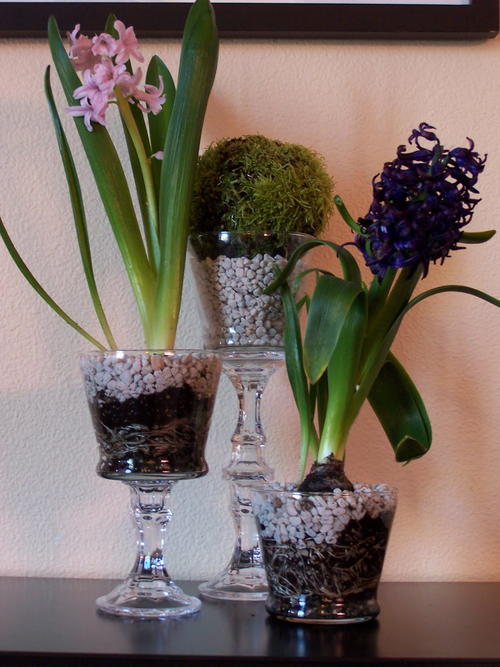 Glass Pedestal Flower Holders