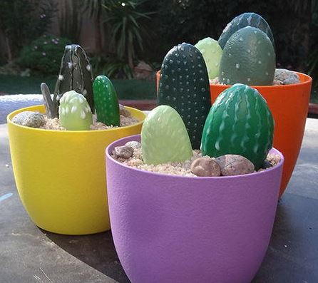 Pretty Painted Cacti