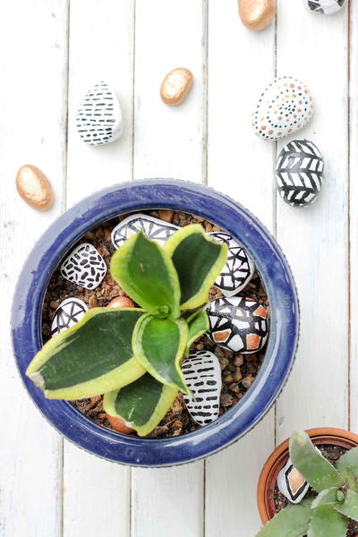 Painted Rocks to Make with Mom