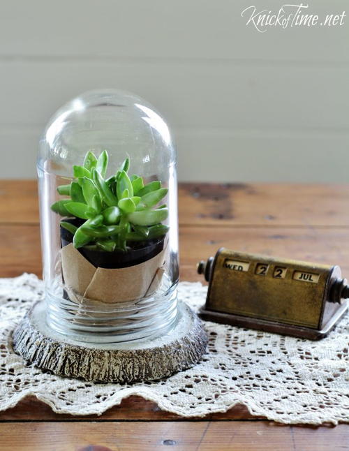 Wood Slice DIY Terrarium