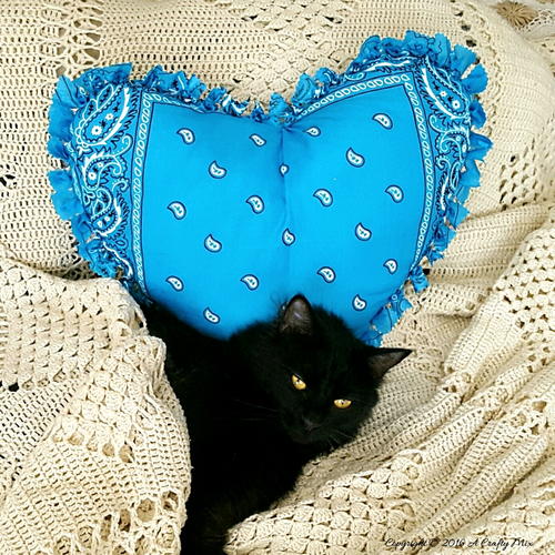 Make a No-Sew Bandana Heart Pillow