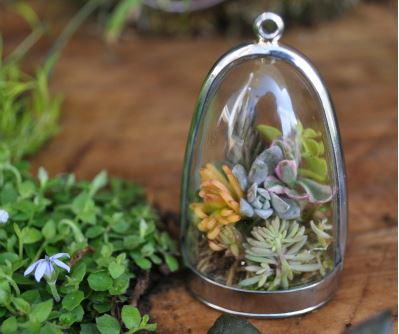 Living Terrarium Necklace