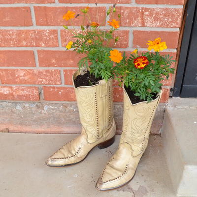Cowboy Boot DIY Planters