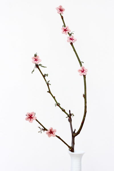 Spring Cherry Blossom Pattern