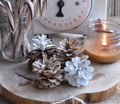 Bleached and Scented Pine Cone Crafts