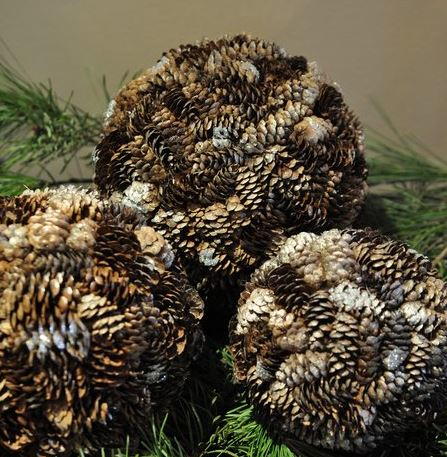 Pine Cone DIY Christmas Balls