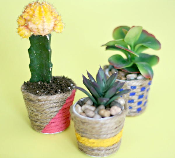 Colorful DIY Mini Planters