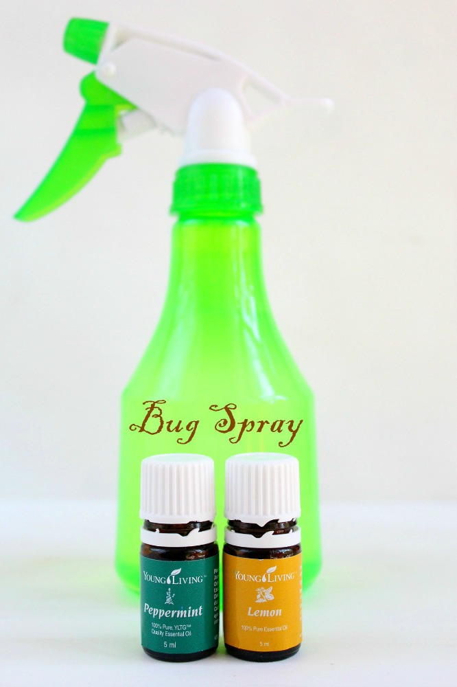 Homemade Bug Spray | DIYIdeaCenter.com