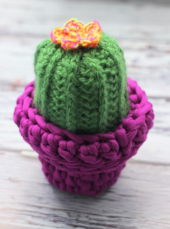 Cuddly Camel Stitch Cactus