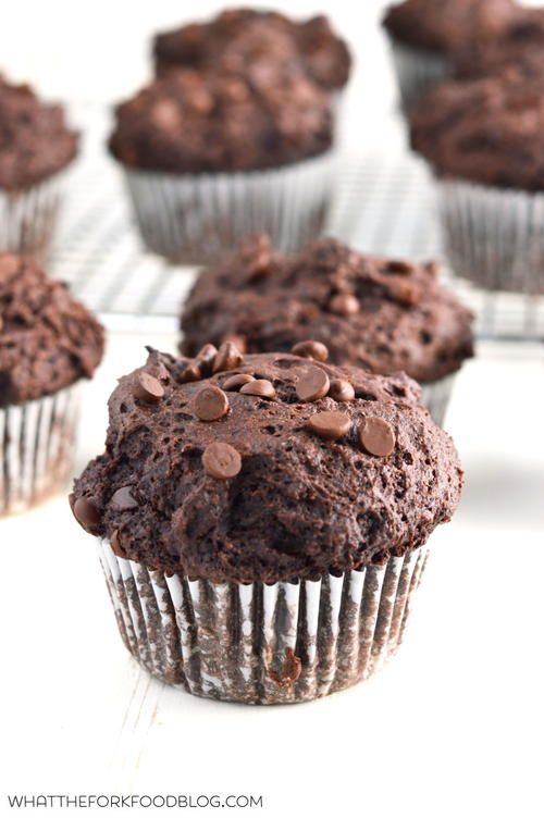 Bakery-Style Double Chocolate Chip Muffins
