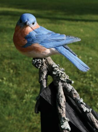Bluebird | wildfowl-carving.com