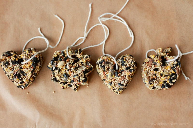 3Ingredient DIY Bird Feeders