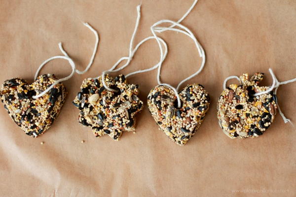 3-Ingredient DIY Bird Feeders