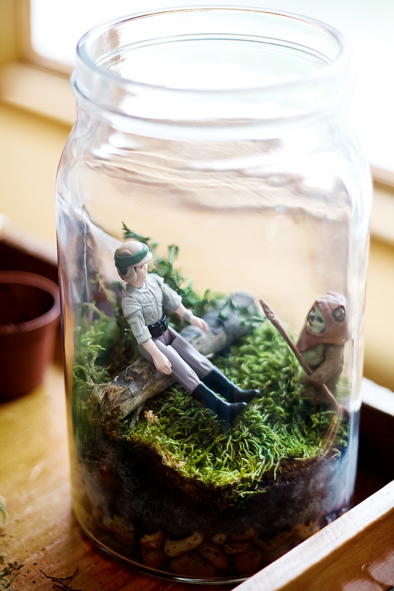 Star Wars Terrarium