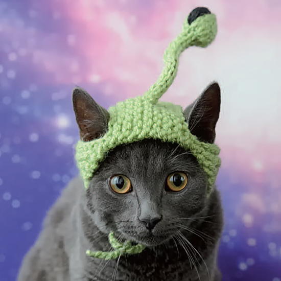 Alien Cat Knit Hat  FaveCrafts.com Alien Cat Knit Hat  FaveCrafts.com