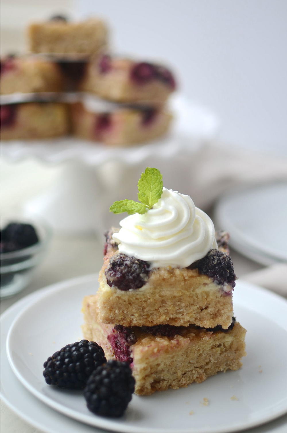 Grandma's Blackberry Pie Bars | FaveSouthernRecipes.com