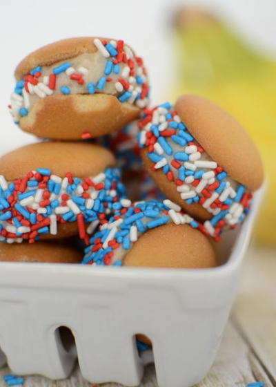 Patriotic Ice Cream Bites