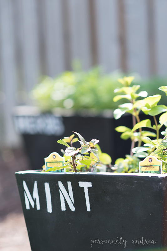 Chalkboard Garden Containers