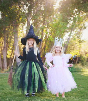 Which Witch DIY Costumes