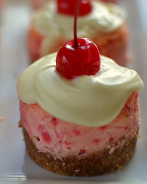 Mini Maraschino Cherry Cheesecake