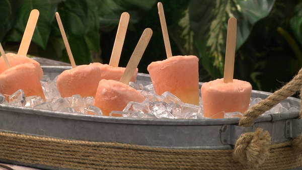 Dreamy Orange Ice Pops