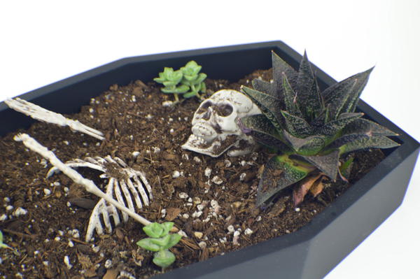 Coffin Planter Halloween Decorating Idea