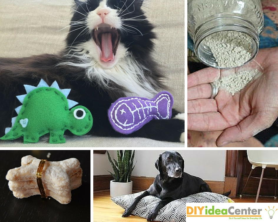 Purrfect Pet Projects | DIYIdeaCenter.com