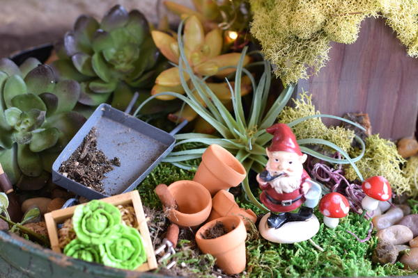 How To Make A Fairy Garden