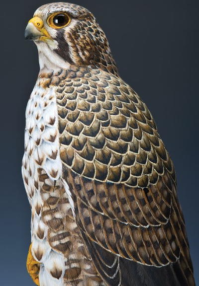 The Prairie Falcon The Prairie Falcon