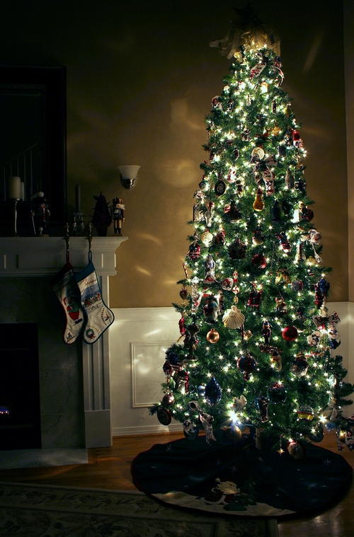 How to Keep a Christmas Tree Alive During the Holiday Season