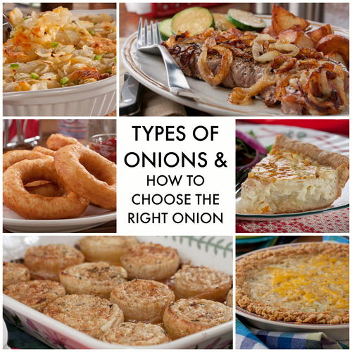 Types Of Onions And How To Choose The Right Onion Mrfood Com,Best Steaks To Cook