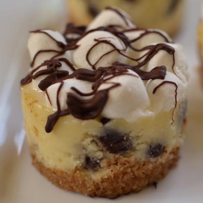 Mini S'mores Cheesecakes