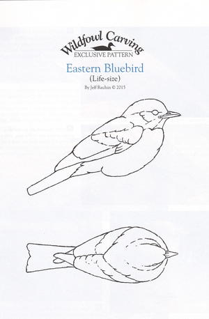 Eastern Bluebird, Part One | wildfowl-carving.com