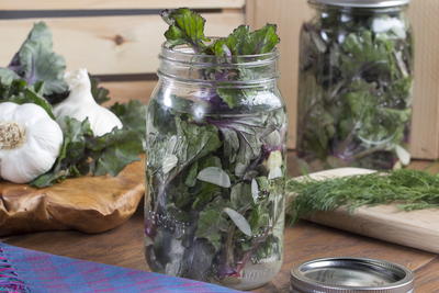 Pickled Lollipops Kale Sprouts