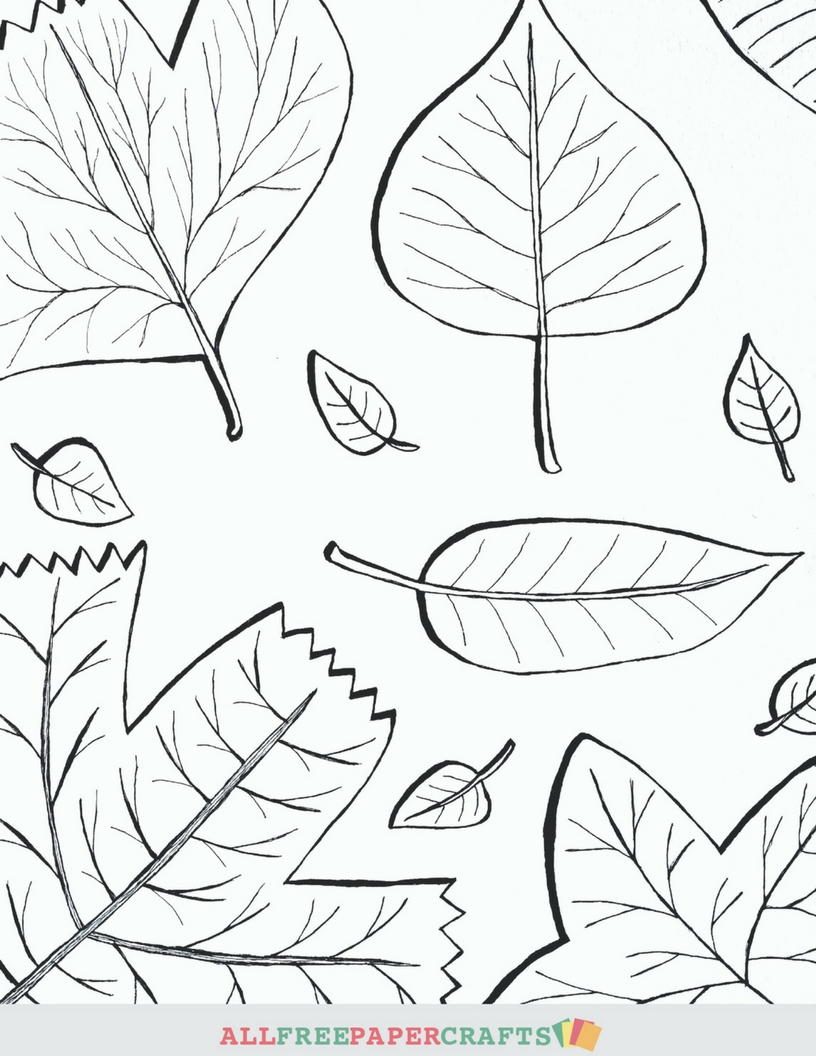 Cascading Fall Leaves Printable Coloring Pages | AllFreePaperCrafts.com